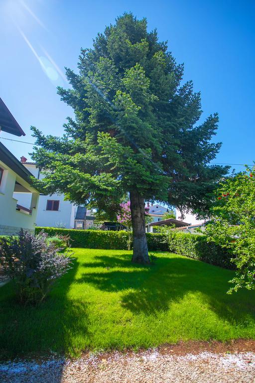 Apartment Pinia Poreč Exterior foto